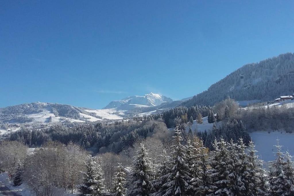Chalet Vue Mont-Blanc, +4 Chambres, Cheminee Megeve Exterior photo